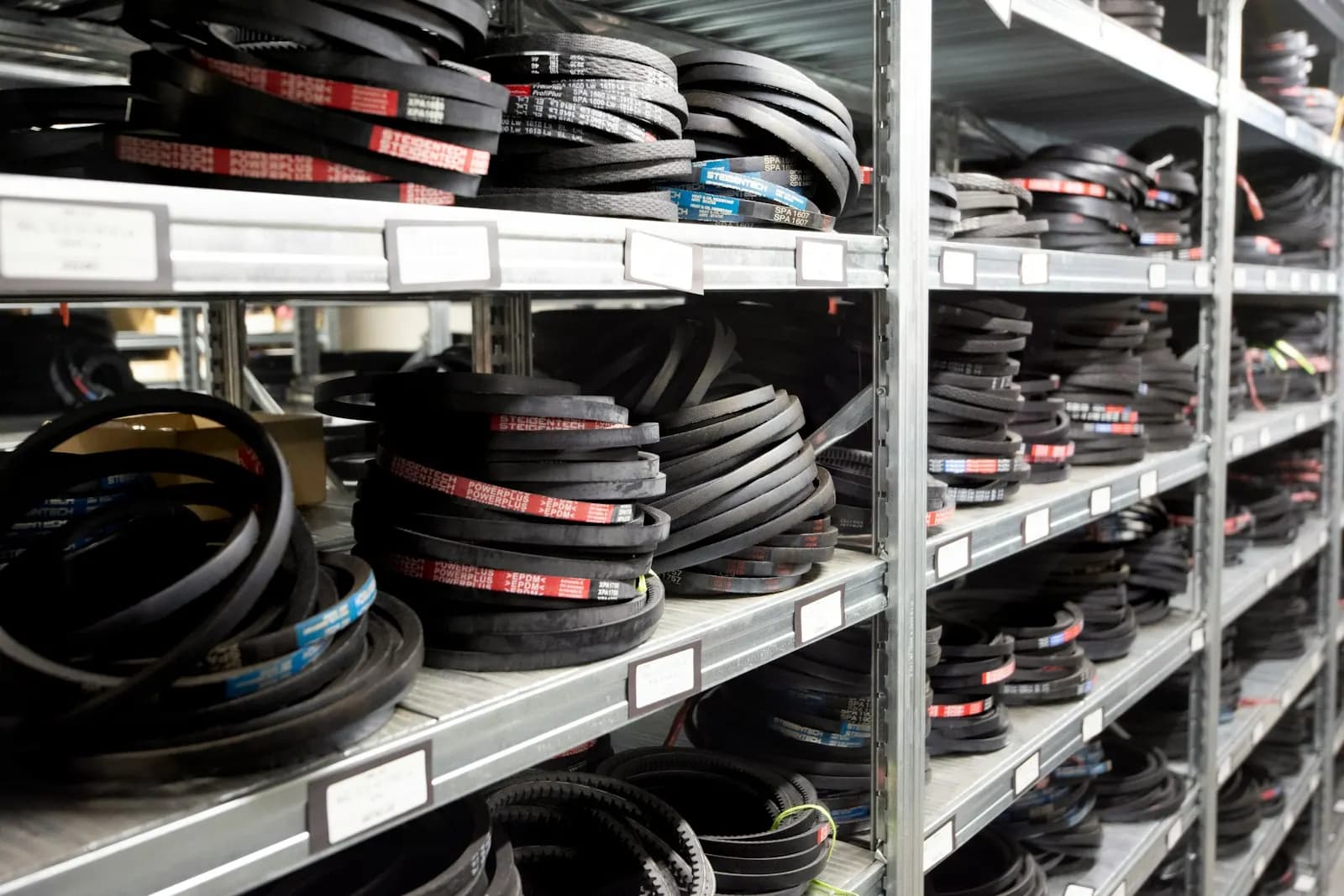 Organized automotive drive belts stored on inventory shelving